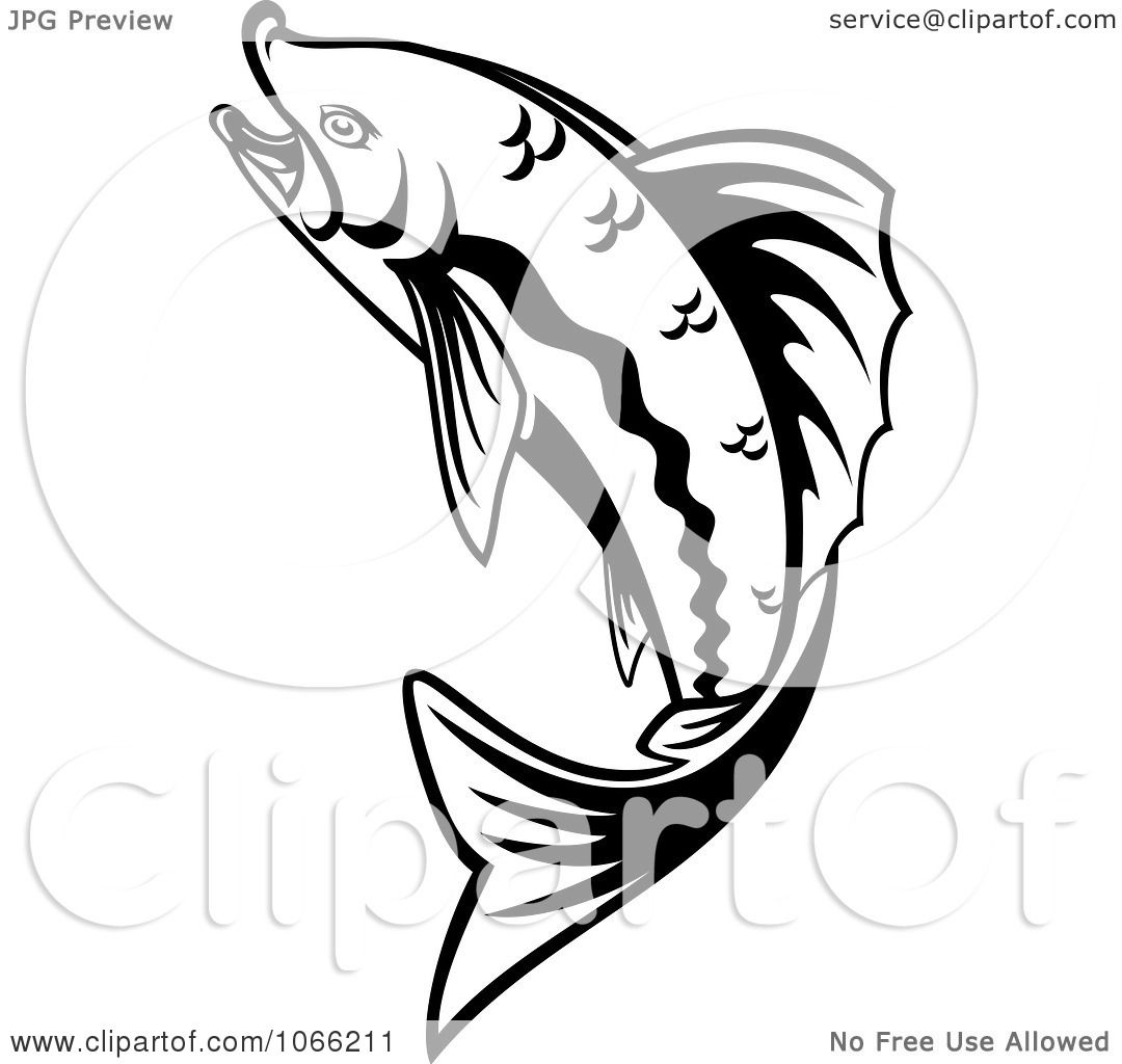 1080x1024 Clipart Black And White Trout 3