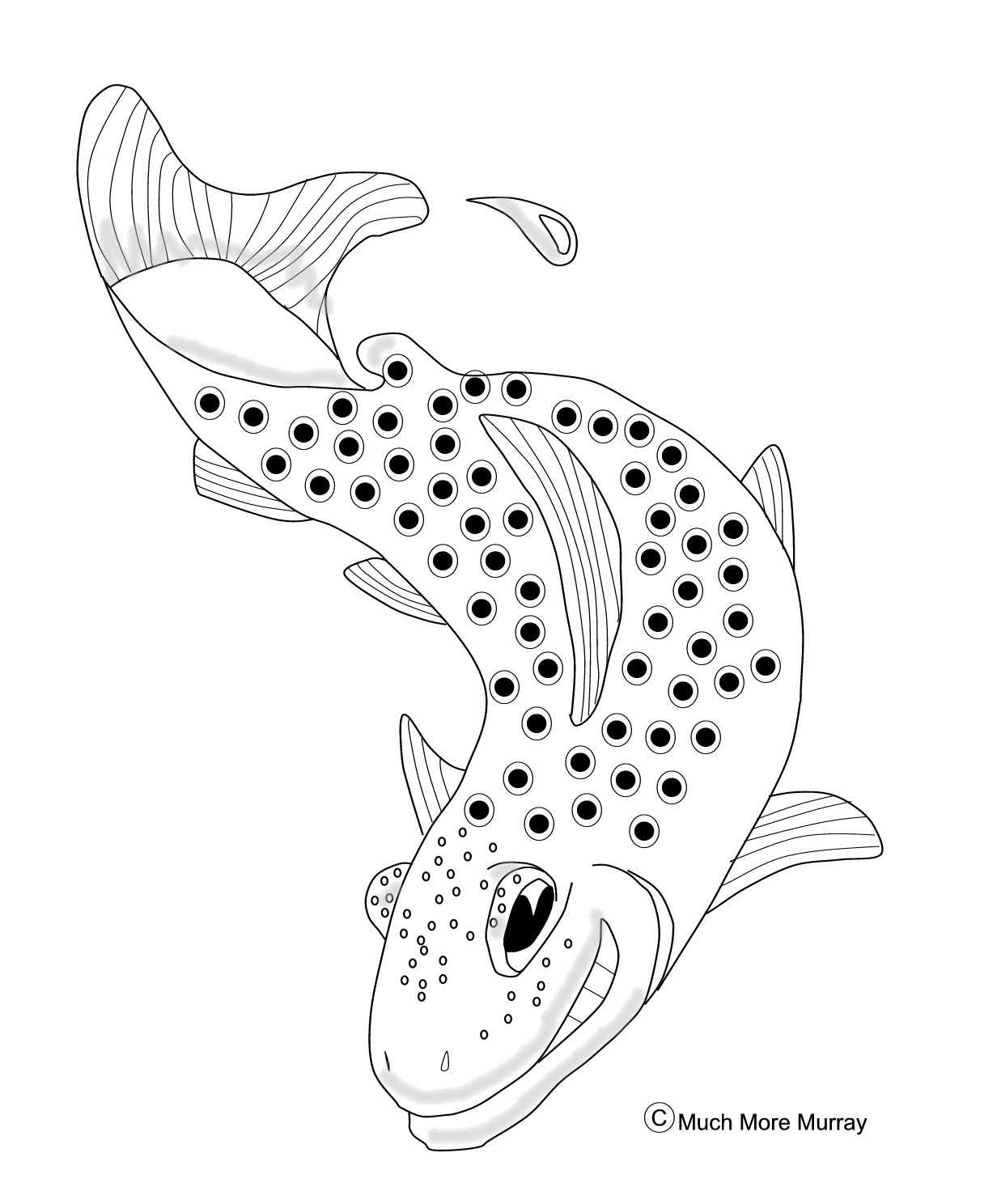 1232x1488 Tumblingtrout Blog