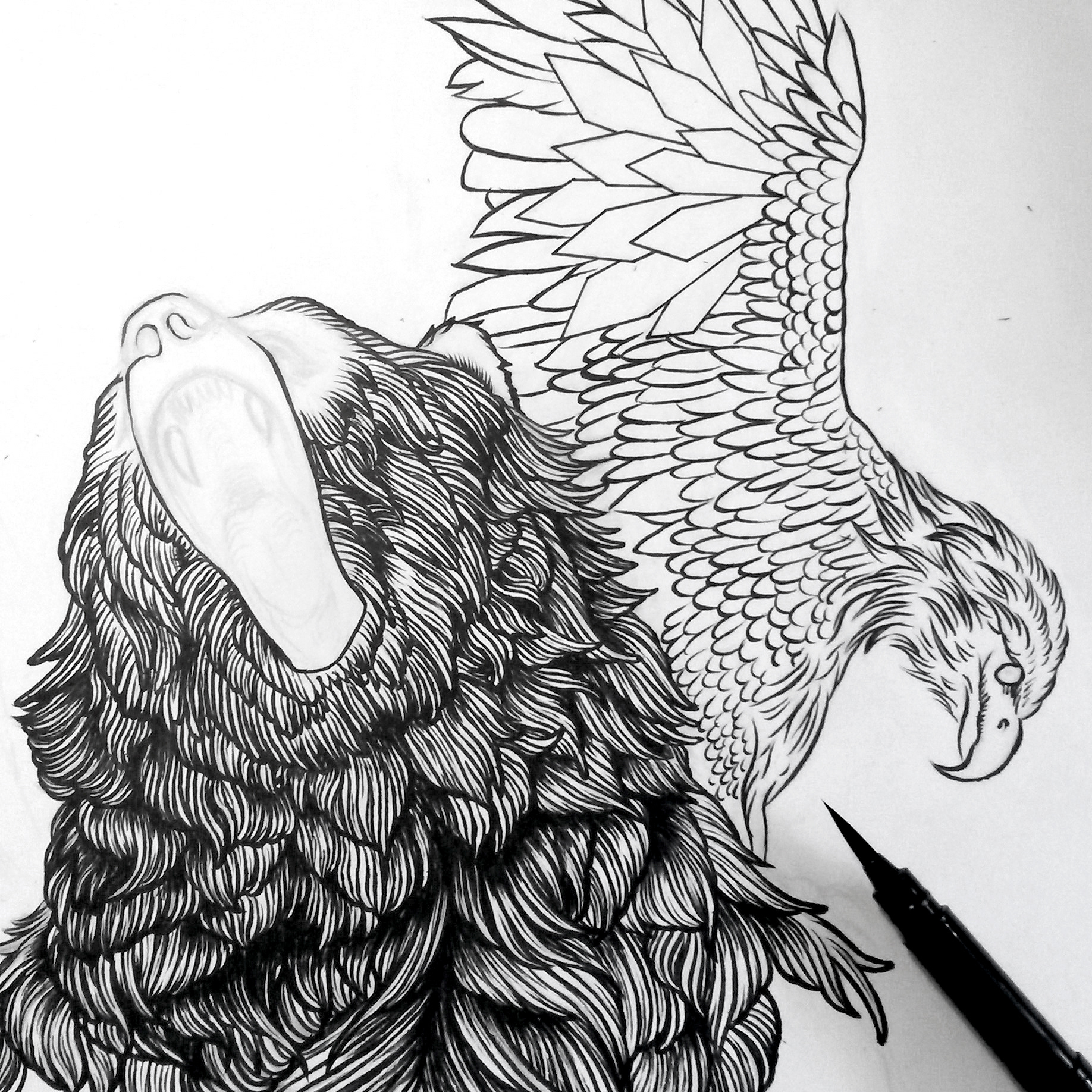 1836x1836 Mat Miller Illustration