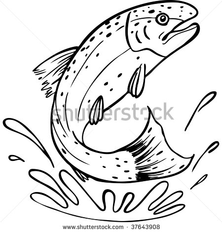 450x470 Rainbow Trout Pictures Free Trout Line Art Stock Photo 37643908