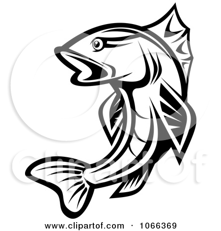 450x470 Trout Black And White Clipart
