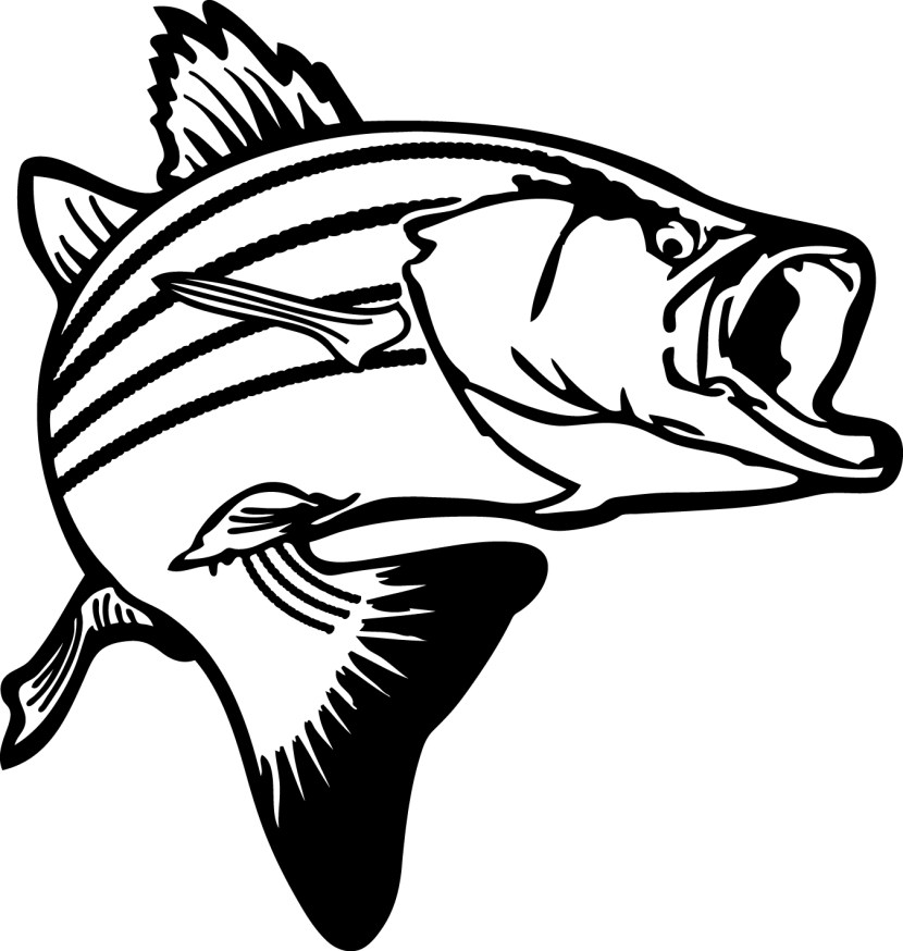 830x874 Trout Clipart Black And White
