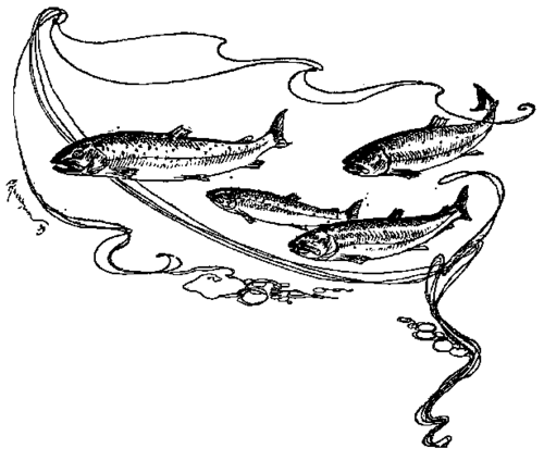 500x424 Trout Fishing With The Wet Fly. Part 5