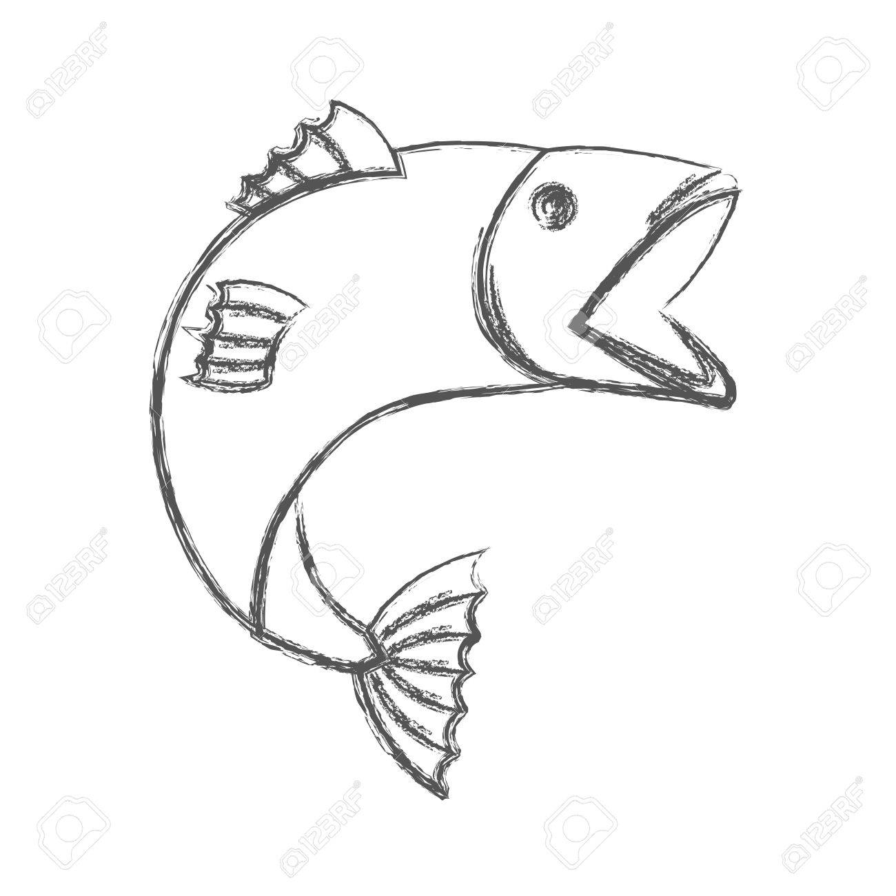 1300x1300 Blurred Sketch Silhouette Of Open Mouth Trout Fish Vector
