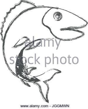 300x369 Catfish Fish Aquatic Black Silhouette Animal. Vector Illustrator