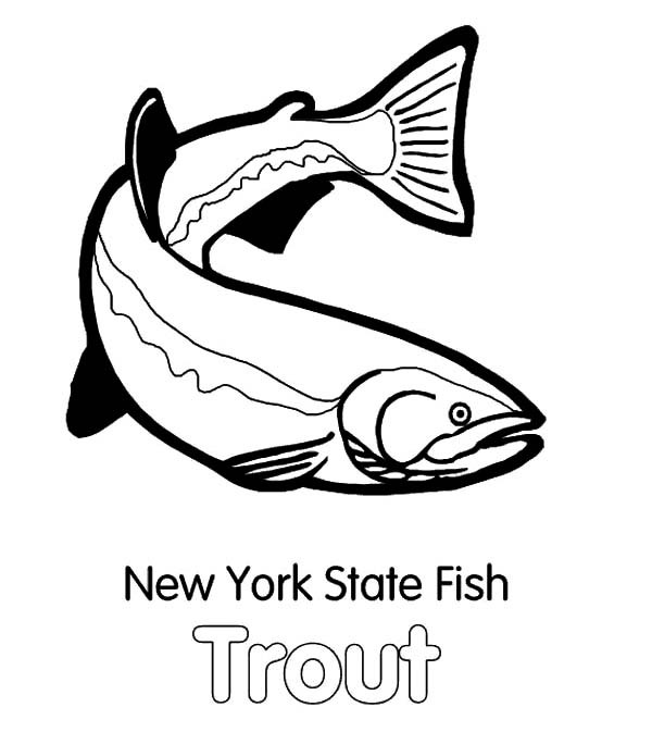 600x673 New York State Fish Apache Trout Coloring Pages Best Place To Color