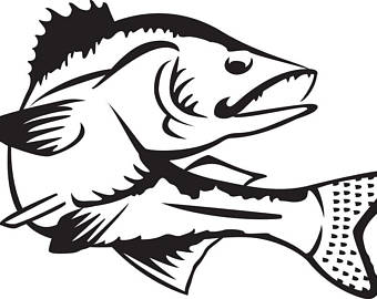 340x270 Sea Trout Etsy