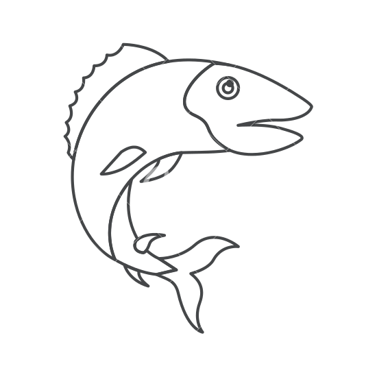 550x550 Silhouette Of Trout Fish