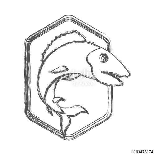 500x500 Blurred Sketch Silhouette Of Diamond Shape Emblem With Trout Fish