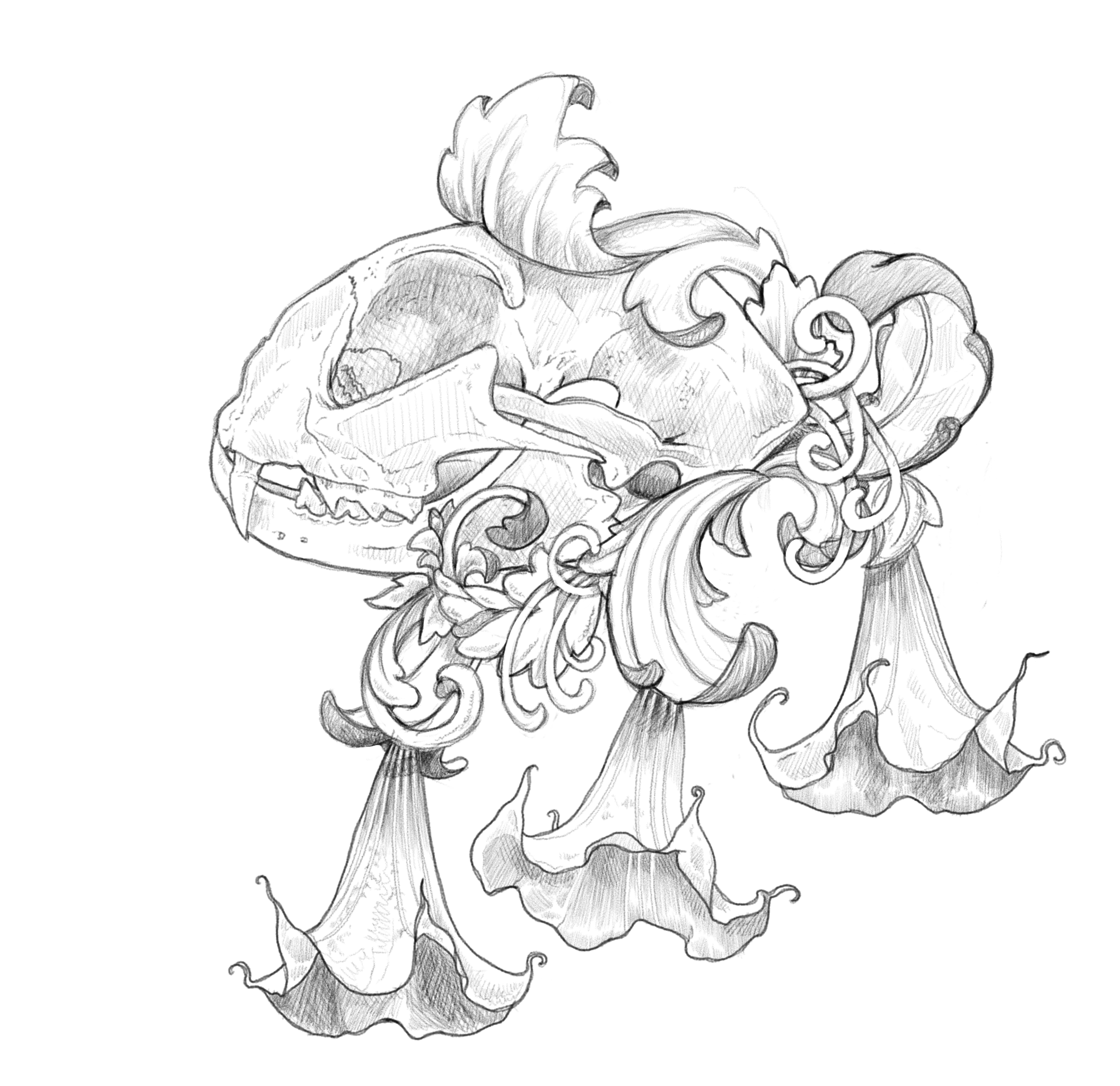 2112x2048 Angels Trumpet Illustrations