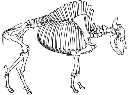 440x327 Forth Bridge