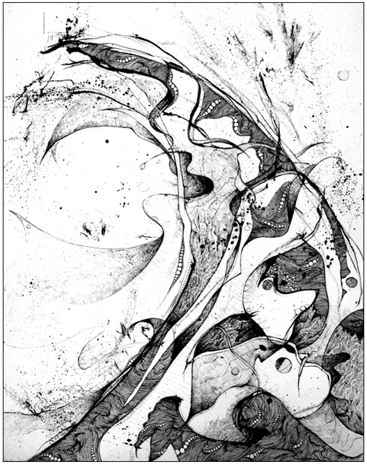 527x666 Seven Drawings Bluestem Magazine