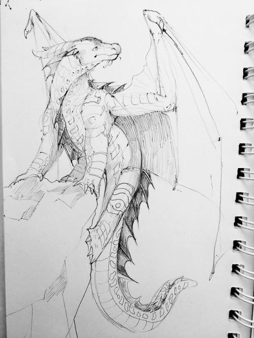 500x666 As Tsunami Tumblr