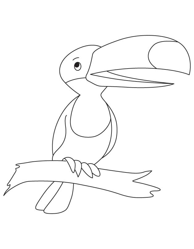 Tucan Drawing at GetDrawings | Free download