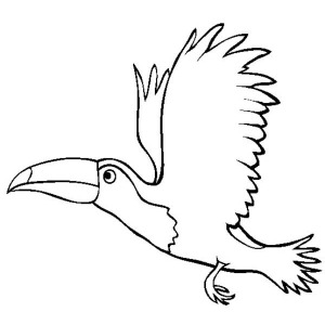 300x300 Flying Toucan Coloring Page Coloring Sun