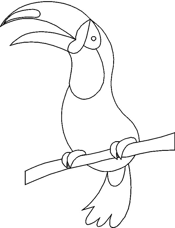 600x780 How To Draw A Toucan Coloring Page Coloring Sun