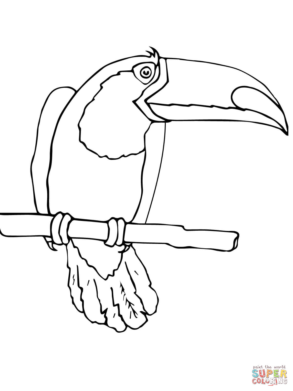 1200x1600 Toucan Bird Coloring Page Free Printable Coloring Pages