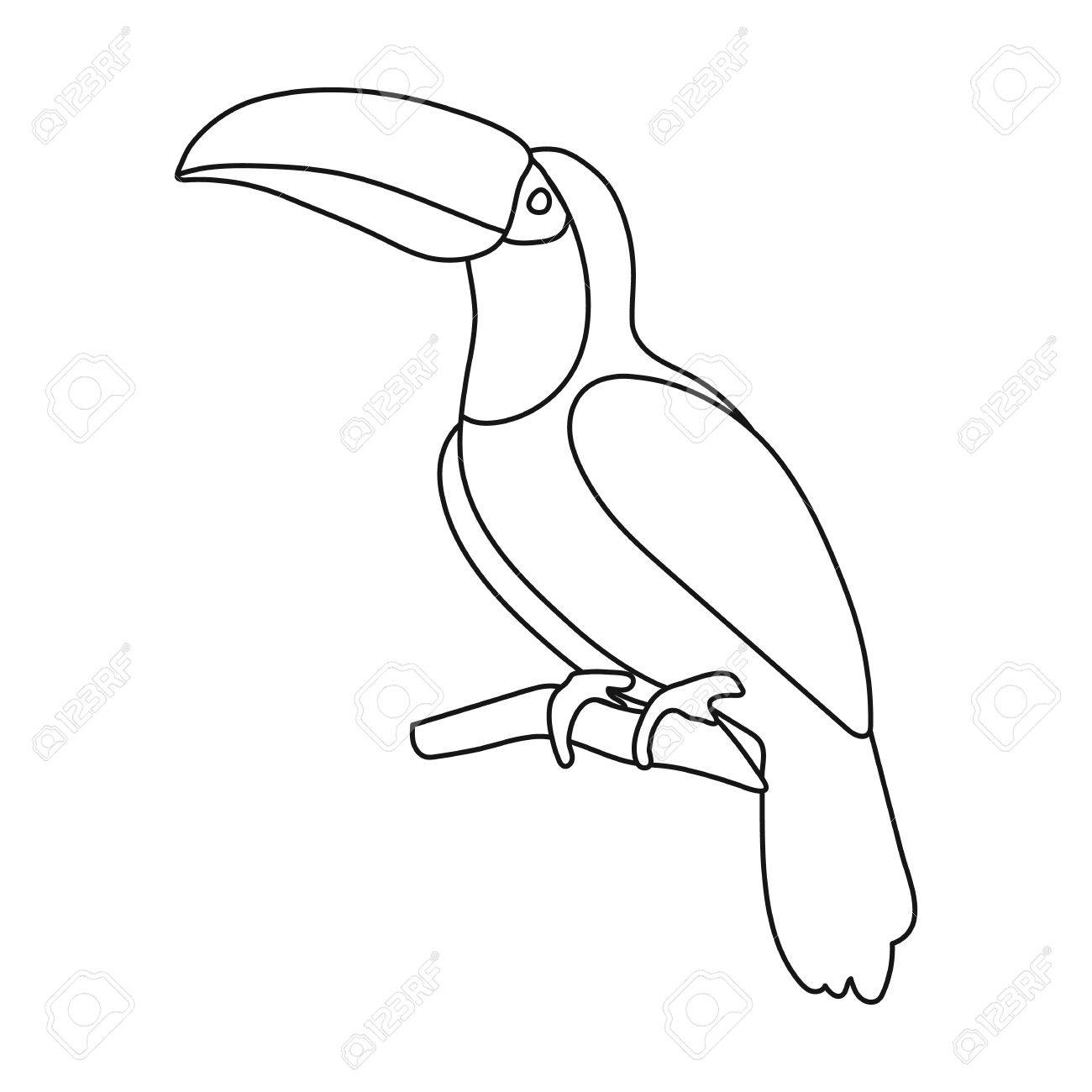 1300x1300 Toucan Icon In Outline Style Isolated On White Background. Bird