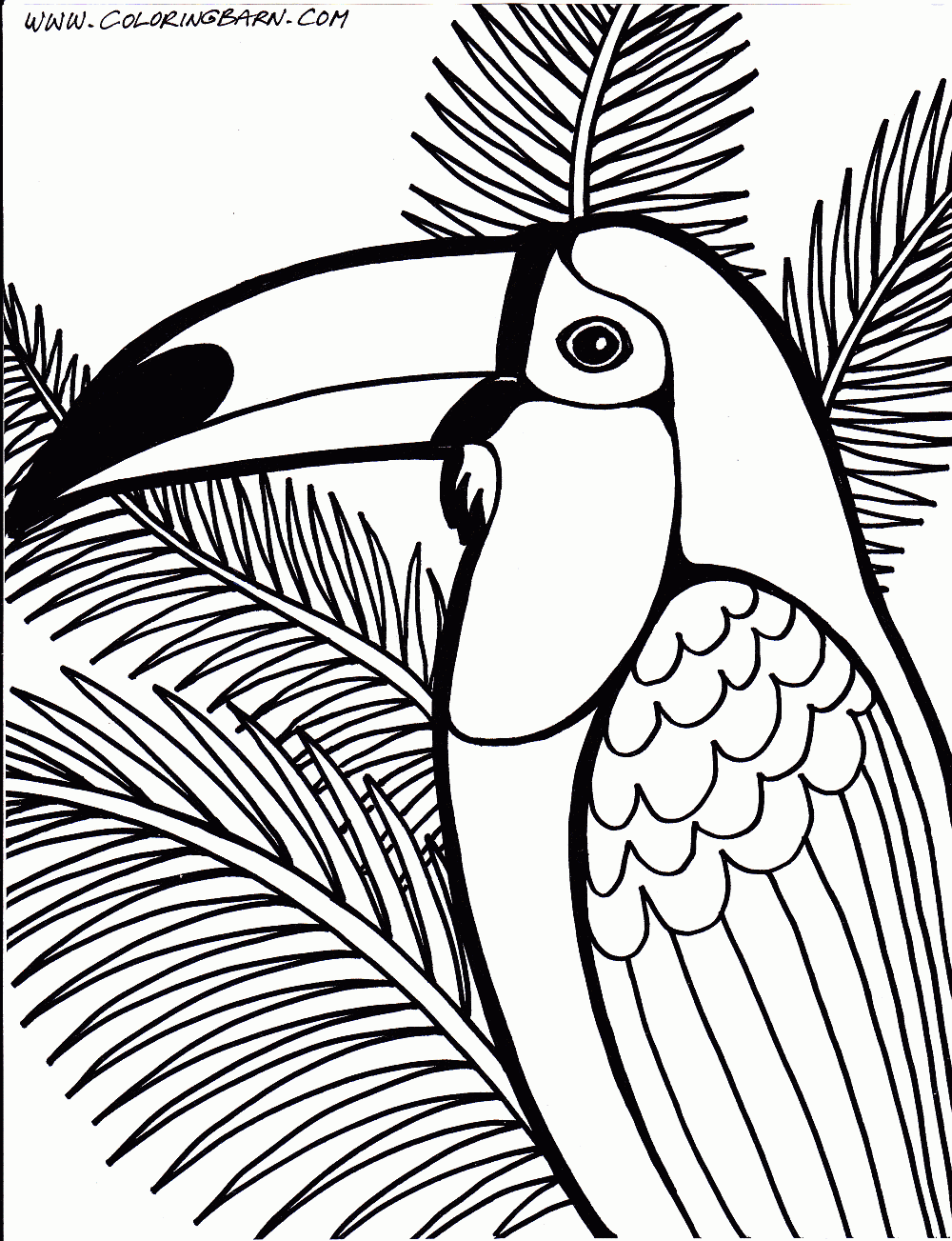 1000x1303 Toucan Coloring Page Printables Bird, Adult