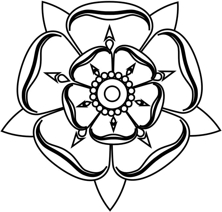 736x703 44 Best Yorkie Outline Tattoo Images On Draw, Animal