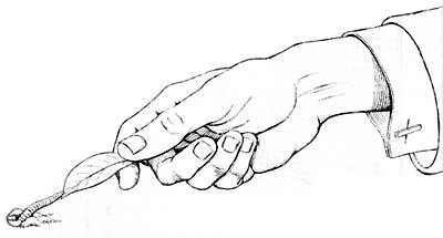 400x215 Natural History Magazine