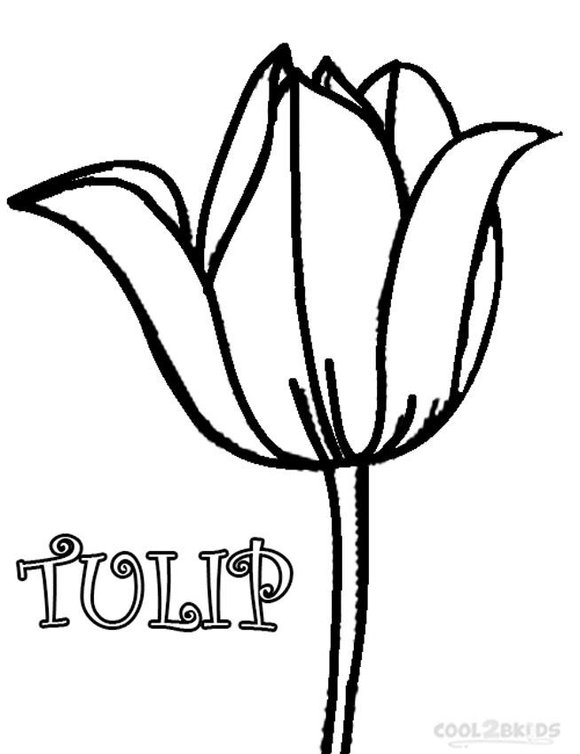654x850 Printable Tulip Coloring Pages For Kids Cool2bkids