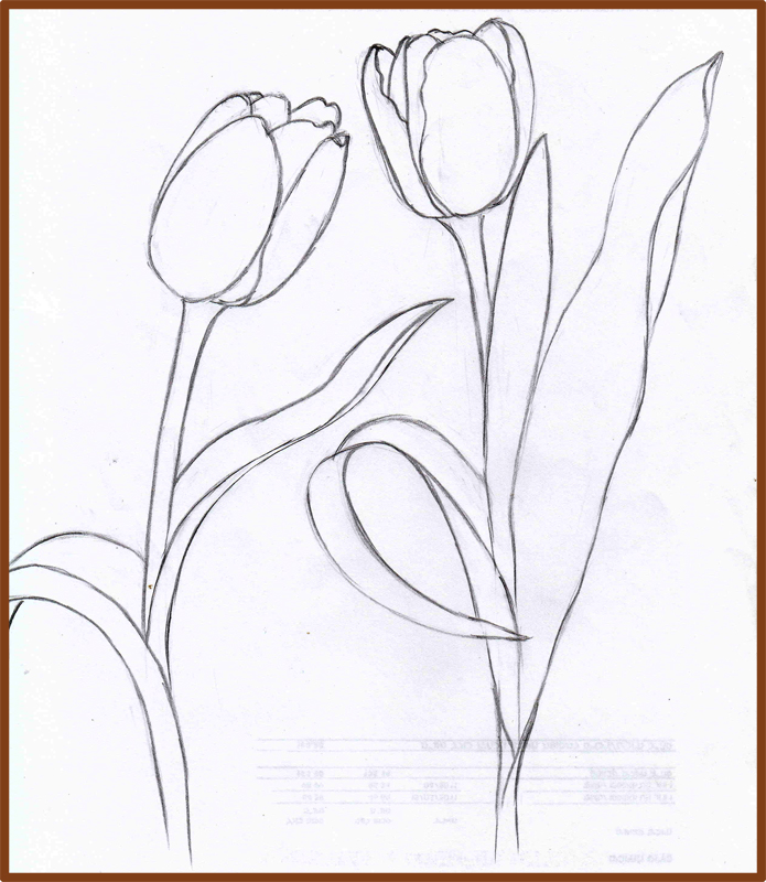Tulip Drawing at GetDrawings | Free download