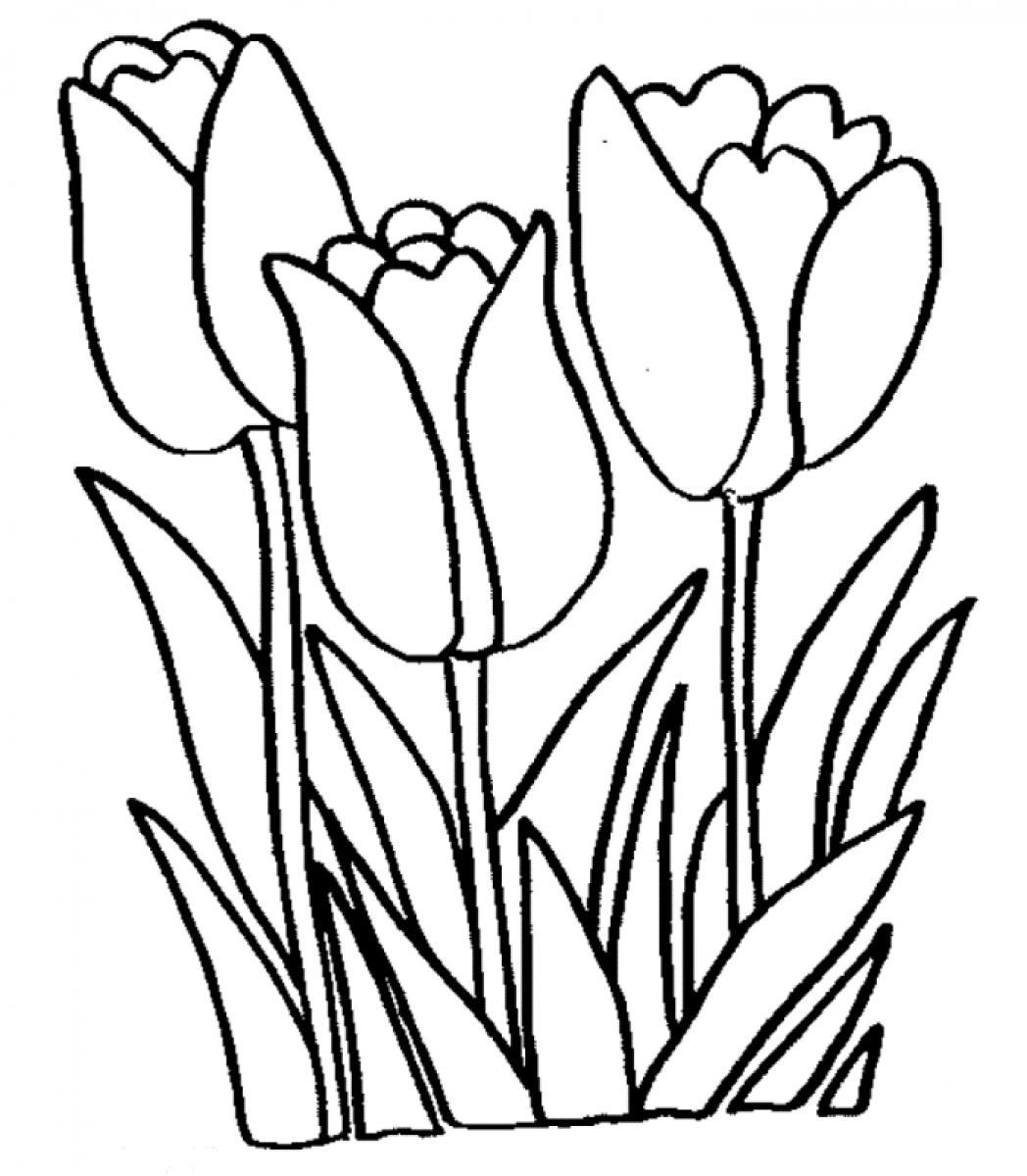 1048x1200 Coloring Pages Lovely Tulip Coloring Pages Elegant Page Drawing