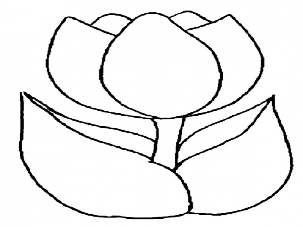 Tulip Drawing Step By Step at GetDrawings | Free download
