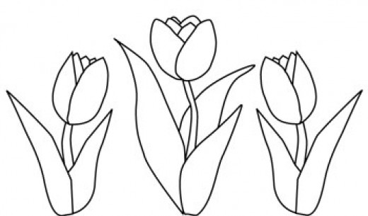 520x305 Tulip Flower Coloring Page Applique Bloemen, Bladeren, Bomen