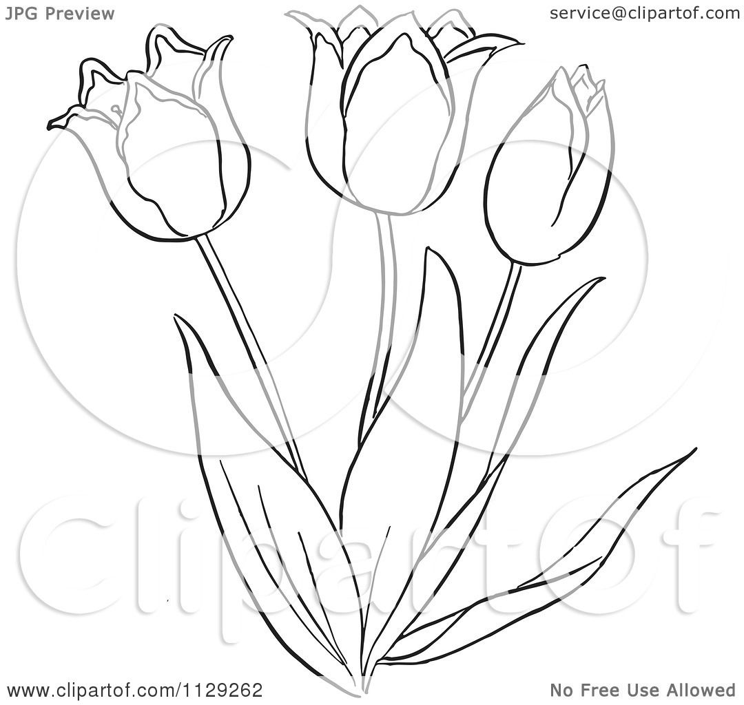 1080x1024 Cartoon Clipart Of An Outlined Tulip Flower Plant