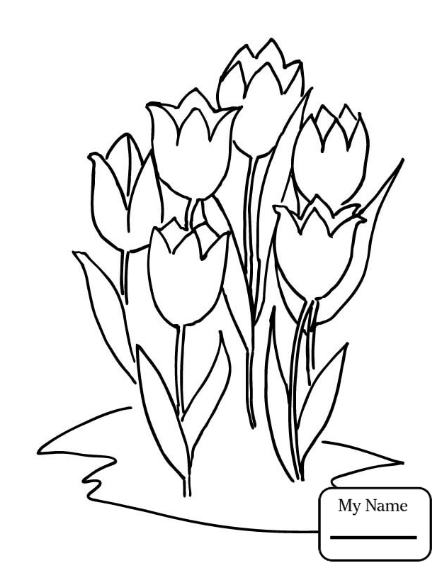 624x808 Coloring Pages For Kids Tulip Six Tulips Flowers