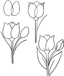 Tulip Outline Drawing at GetDrawings | Free download