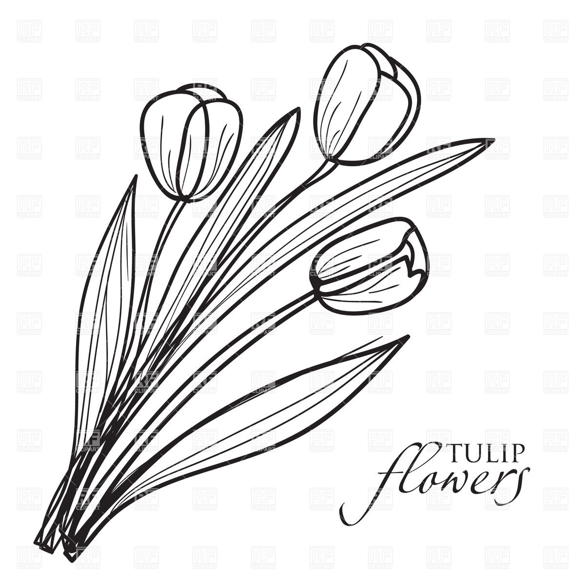 1200x1200 Drawn Tulip Tulip Bouquet