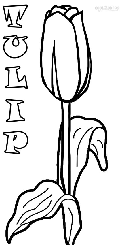 424x850 Printable Tulip Coloring Pages For Kids Cool2bkids