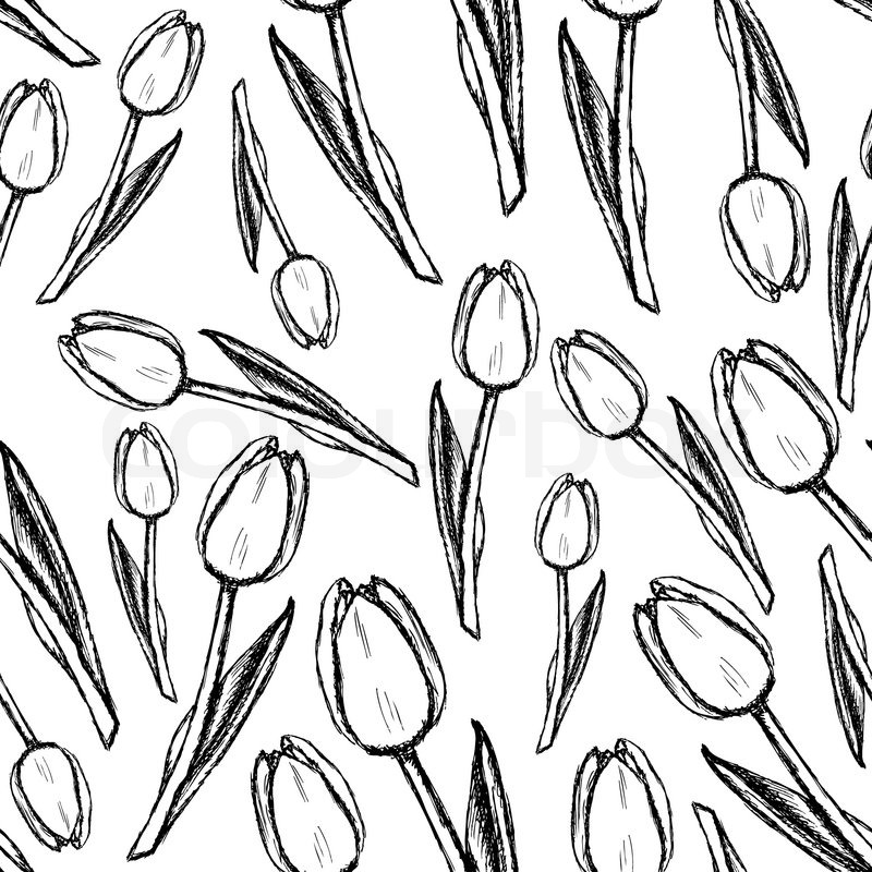 800x800 Sketch Tulips, Vector Vintage Seamless Pattern Eps 10 Stock