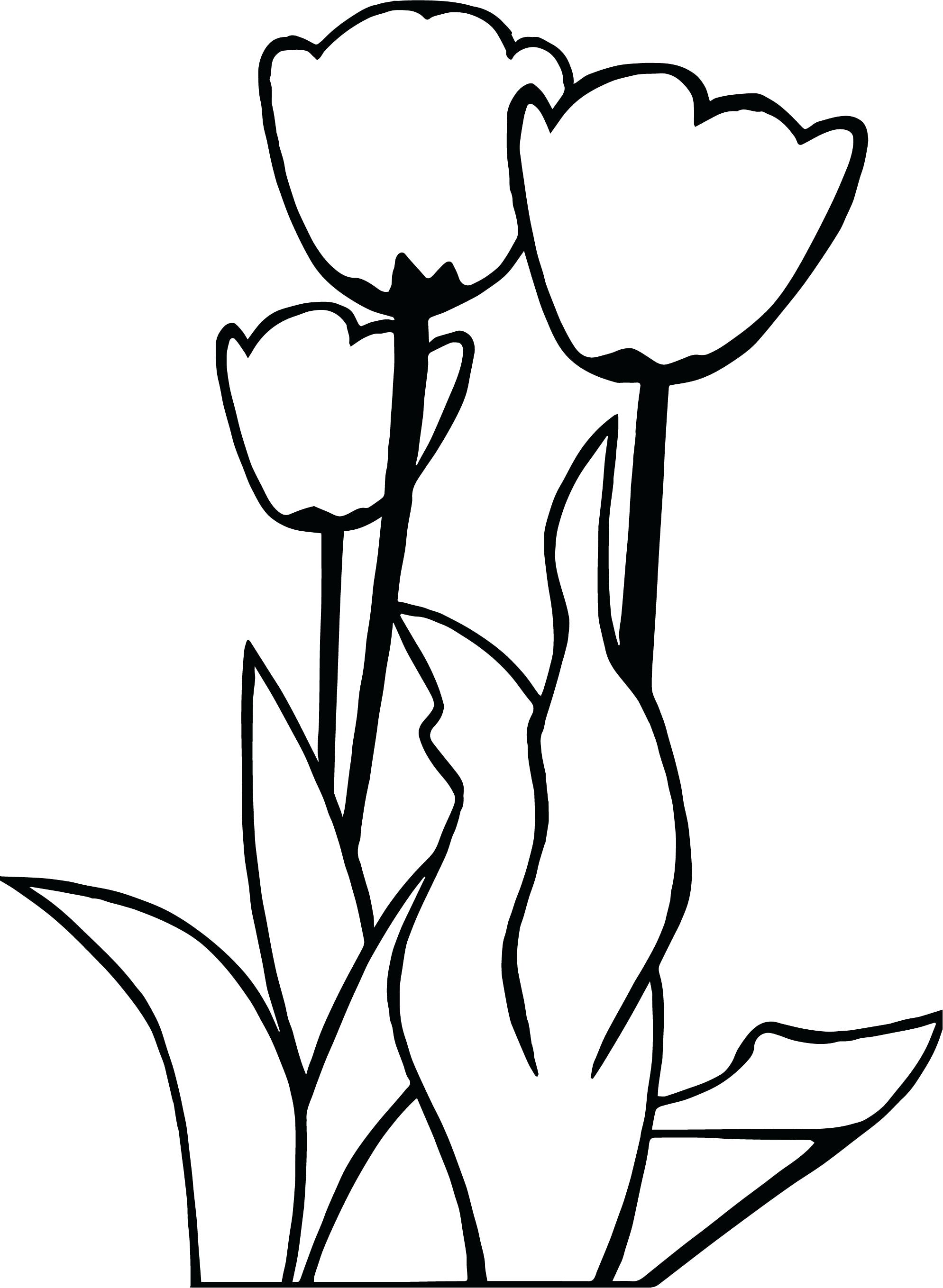 1989x2718 Coloring Tulip Coloring Page Tulips Flower Simple. Tulip Coloring