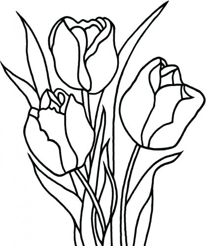 418x500 Coloring Pages ~ Tulip Coloring Pages Birds Book Tulip Coloring