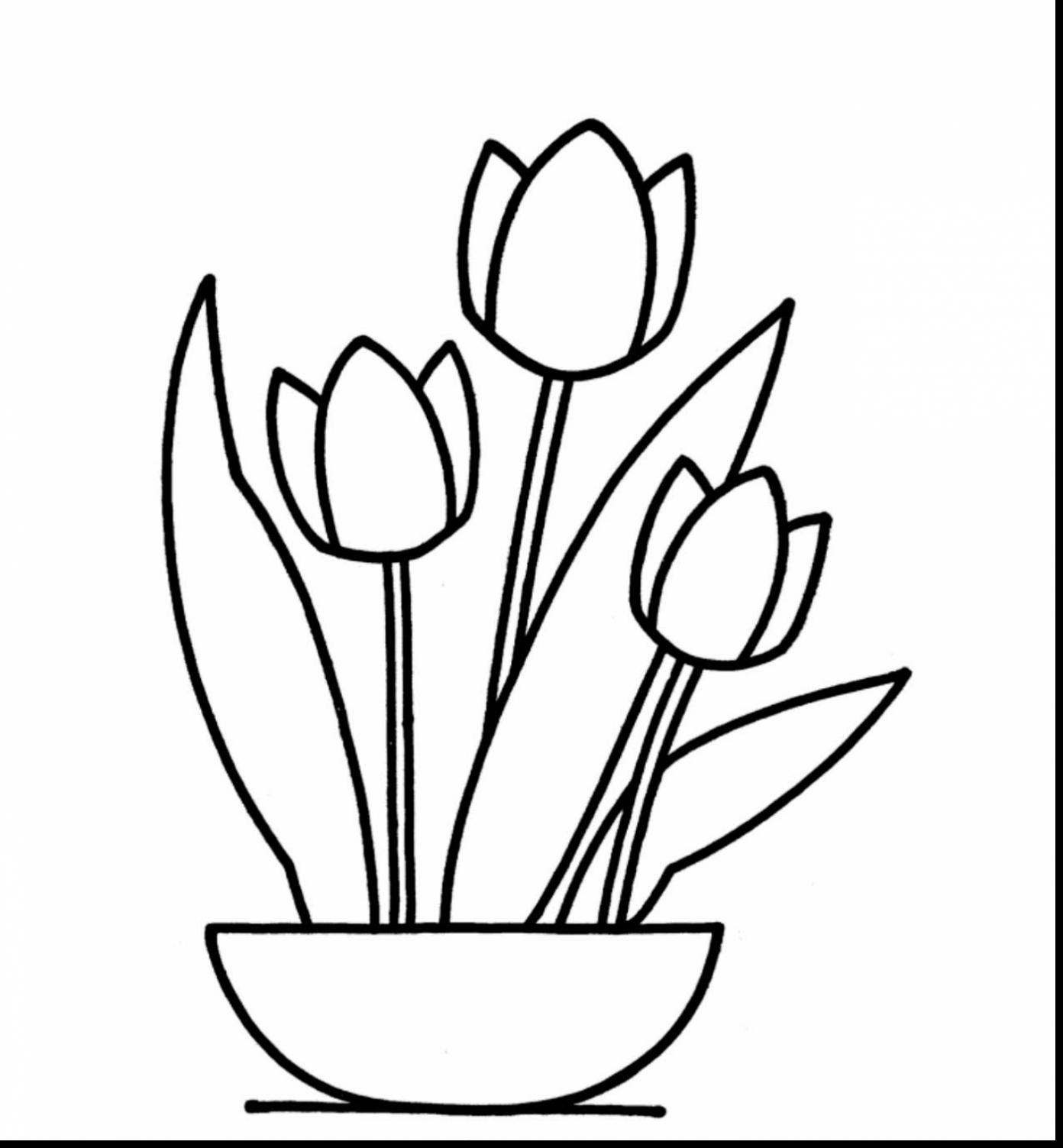 1392x1503 Terrific Galleries Flower Sketch Drawing Tulips Pencil With Tulip