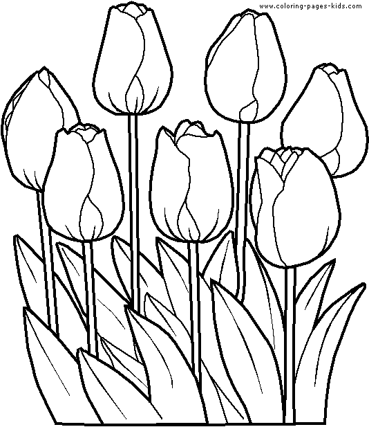 534x617 Coloring Pages For Kids Tulip Coloring Pages For Kids