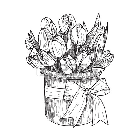 450x450 Hand Drawn Decorative Tulips Isolated On White. Hand Drawn