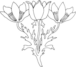 324x287 Lesson On Drawing Flowers
