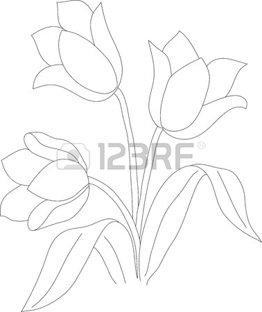 378x450 Manual Pencil Drawing Tulip Bush, Color Pattern Royalty Free