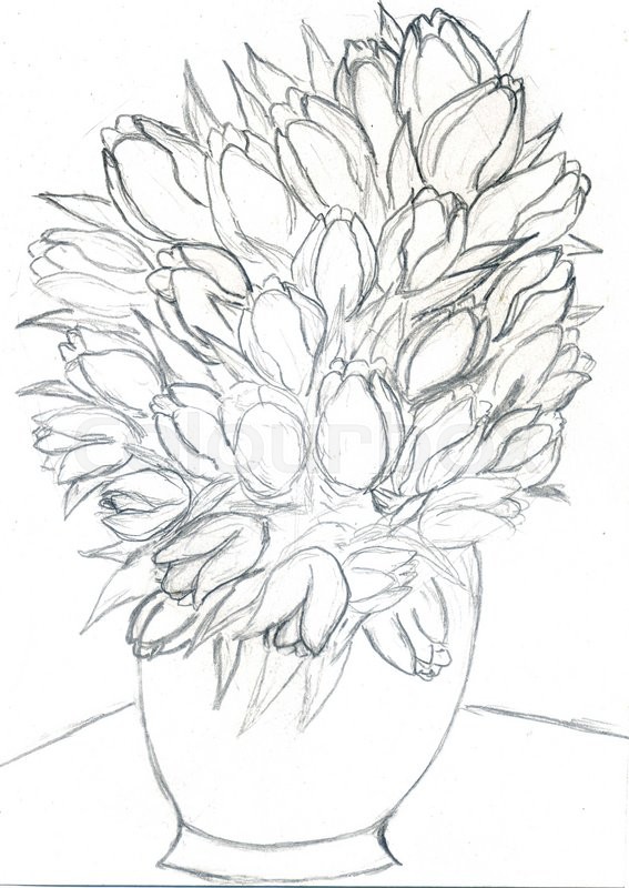 567x800 Sketch Elegant Illustration Of Bouquet Of Tulips In A Vase