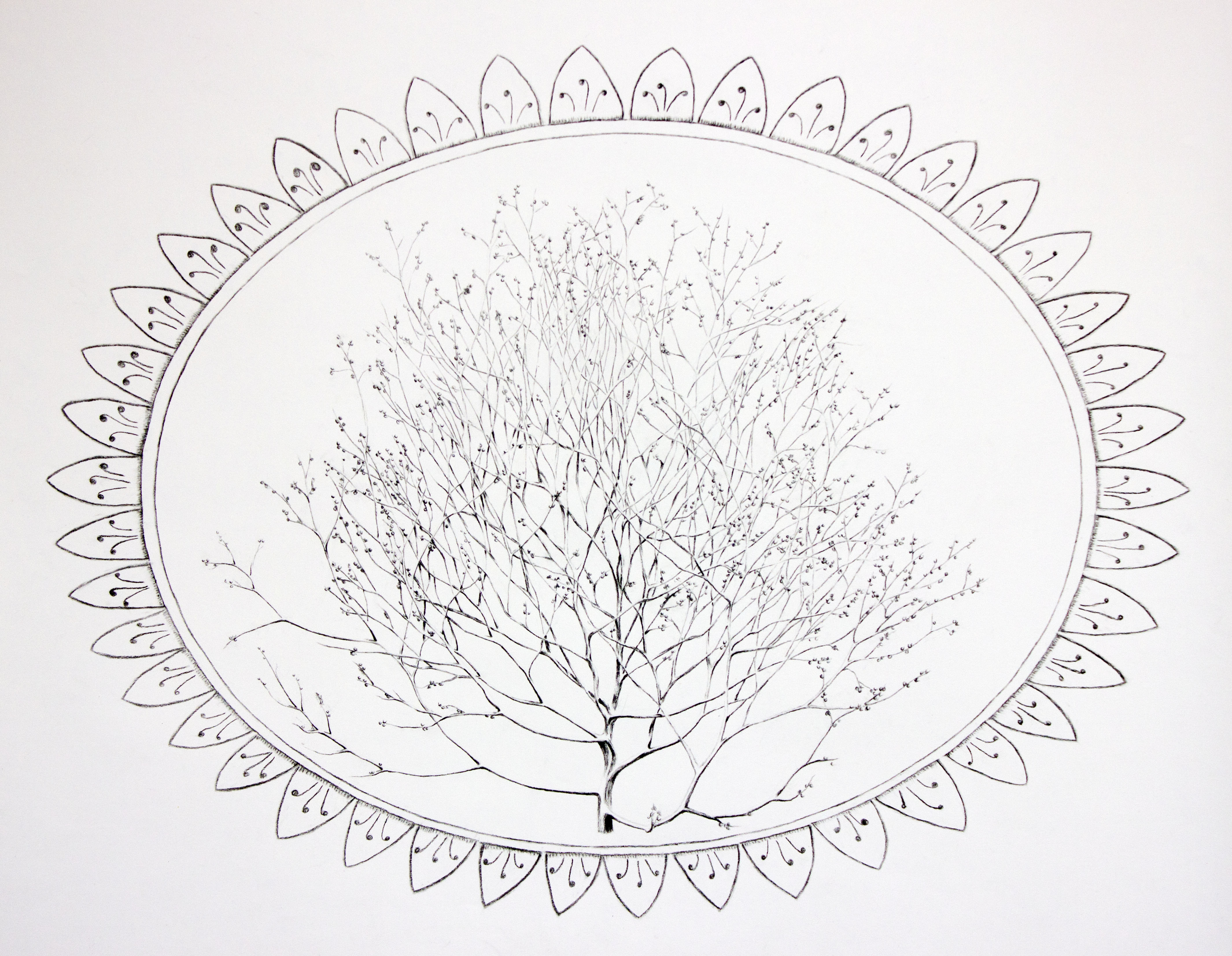 4260x3306 Tumbleweed Mixology Ariel Lavery