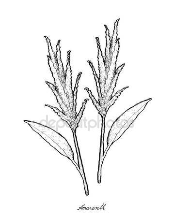 359x449 Tumbleweed Stock Vectors, Royalty Free Tumbleweed Illustrations