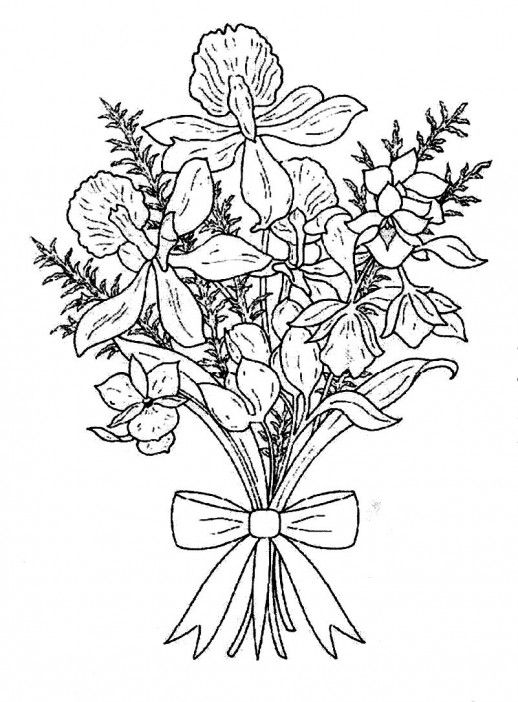 518x702 5577 Best Kids Coloring Pages, Books Images