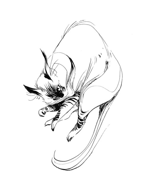 500x640 Ang Chen Art Sketches