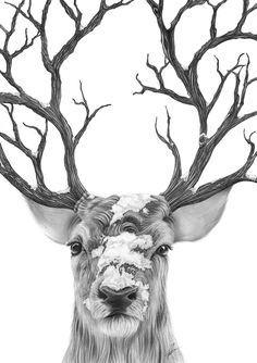 236x334 Deer Head By On @ Tats