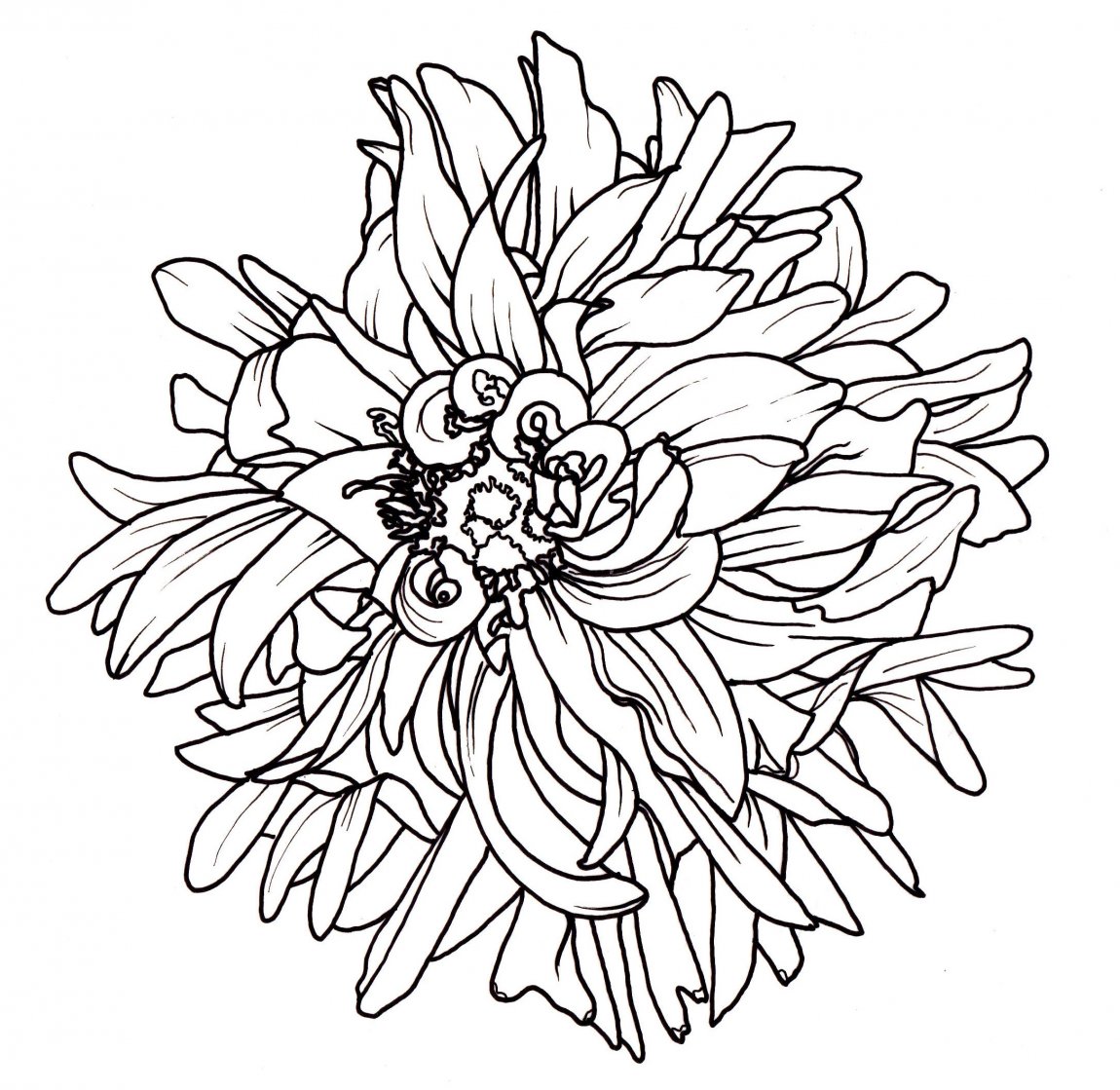 1150x1119 Easy Drawings For Beginners Cute Tumblr Drawing Flower At Bedroom